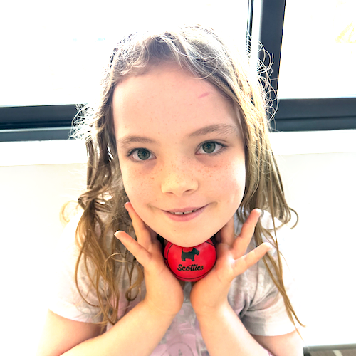 Scottie Squishy Balls